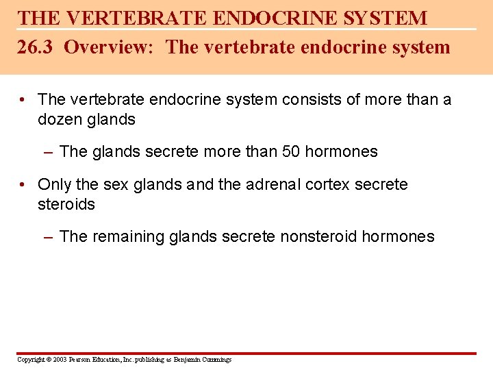 THE VERTEBRATE ENDOCRINE SYSTEM 26. 3 Overview: The vertebrate endocrine system • The vertebrate