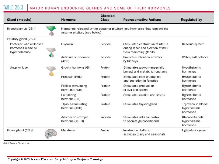 Copyright © 2003 Pearson Education, Inc. publishing as Benjamin Cummings 