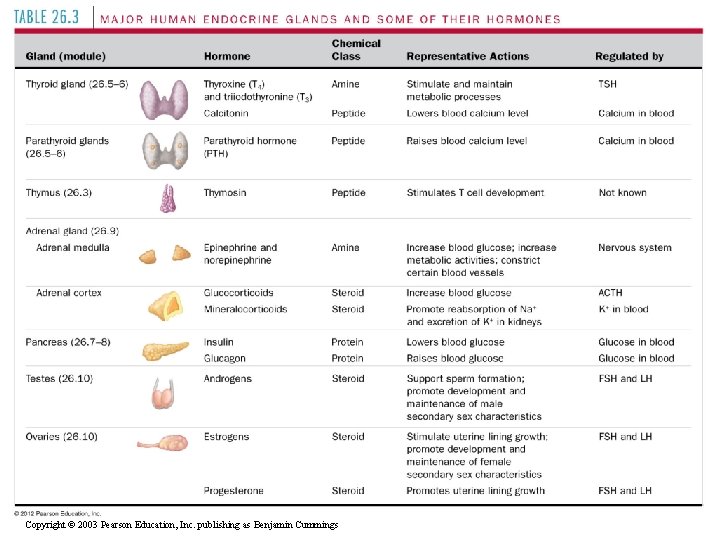 Table 26. 3, part 2 Copyright © 2003 Pearson Education, Inc. publishing as Benjamin