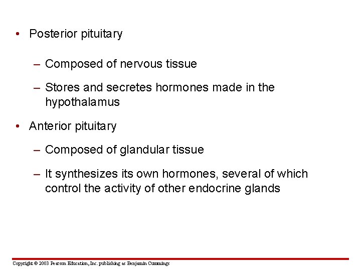  • Posterior pituitary – Composed of nervous tissue – Stores and secretes hormones