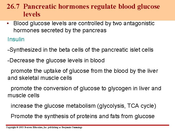 26. 7 Pancreatic hormones regulate blood glucose levels • Blood glucose levels are controlled