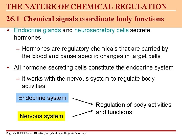 THE NATURE OF CHEMICAL REGULATION 26. 1 Chemical signals coordinate body functions • Endocrine