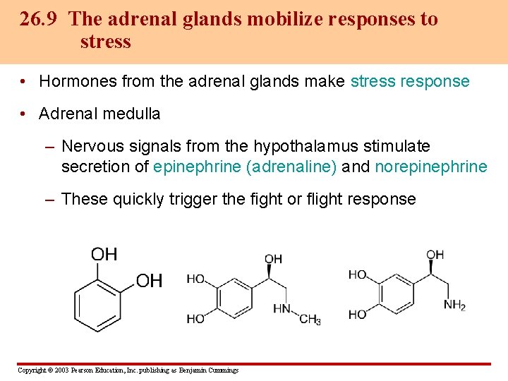 26. 9 The adrenal glands mobilize responses to stress • Hormones from the adrenal