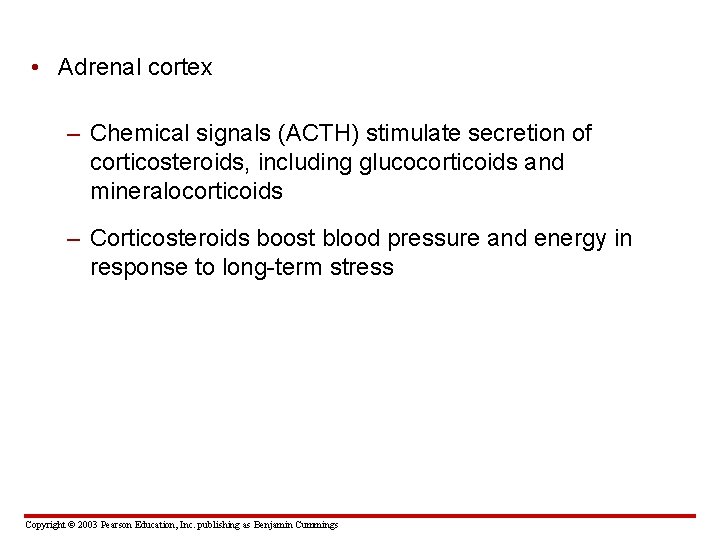  • Adrenal cortex – Chemical signals (ACTH) stimulate secretion of corticosteroids, including glucocorticoids