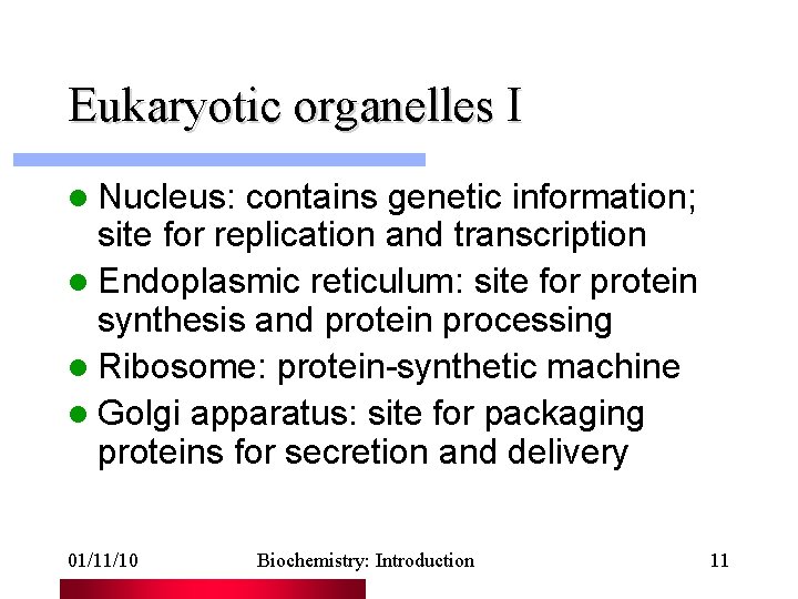 Eukaryotic organelles I l Nucleus: contains genetic information; site for replication and transcription l