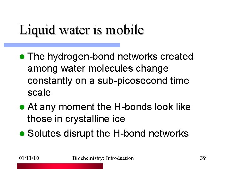 Liquid water is mobile l The hydrogen-bond networks created among water molecules change constantly