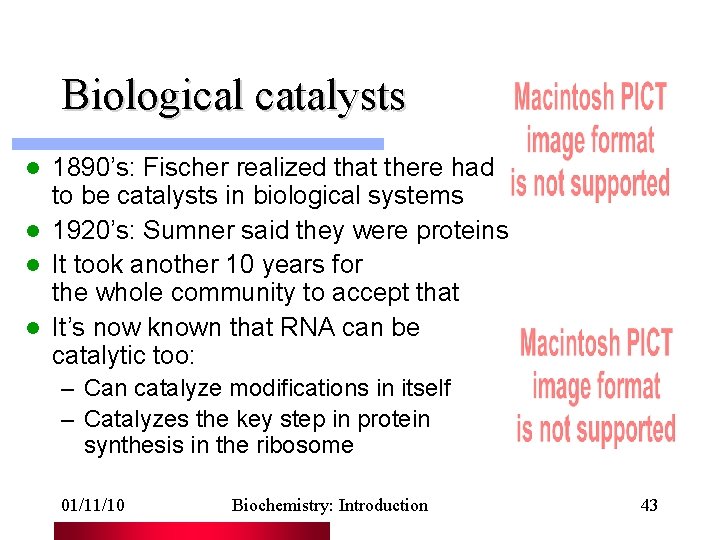 Biological catalysts 1890’s: Fischer realized that there had to be catalysts in biological systems