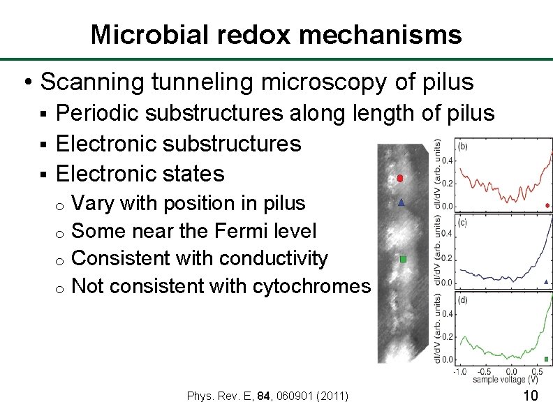 Microbial redox mechanisms • Scanning tunneling microscopy of pilus Periodic substructures along length of