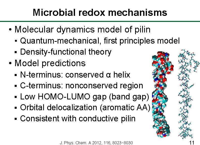 Microbial redox mechanisms • Molecular dynamics model of pilin • Quantum-mechanical, first principles model