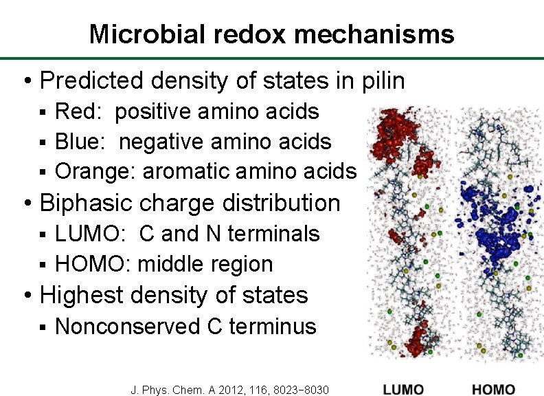 Microbial redox mechanisms • Predicted density of states in pilin Red: positive amino acids