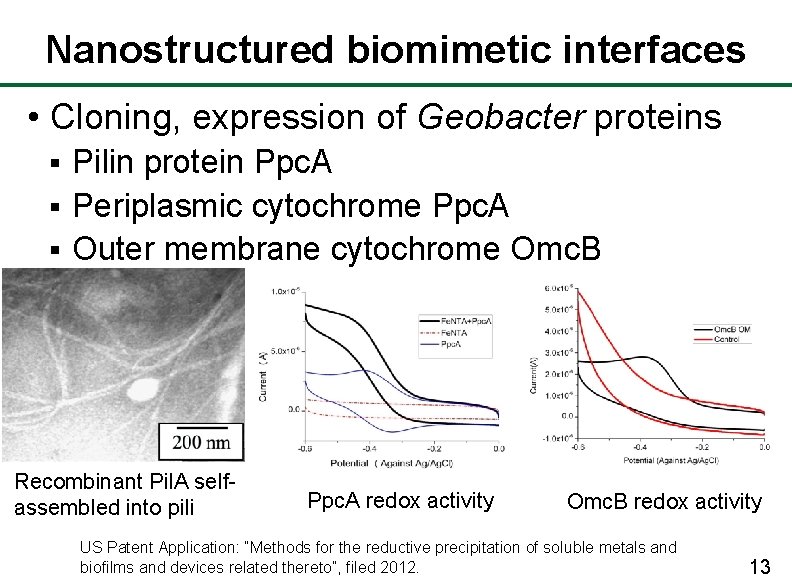 Nanostructured biomimetic interfaces • Cloning, expression of Geobacter proteins Pilin protein Ppc. A §