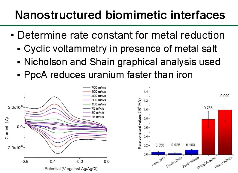 Nanostructured biomimetic interfaces • Determine rate constant for metal reduction Cyclic voltammetry in presence