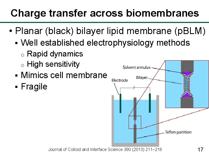 Charge transfer across biomembranes • Planar (black) bilayer lipid membrane (p. BLM) § Well