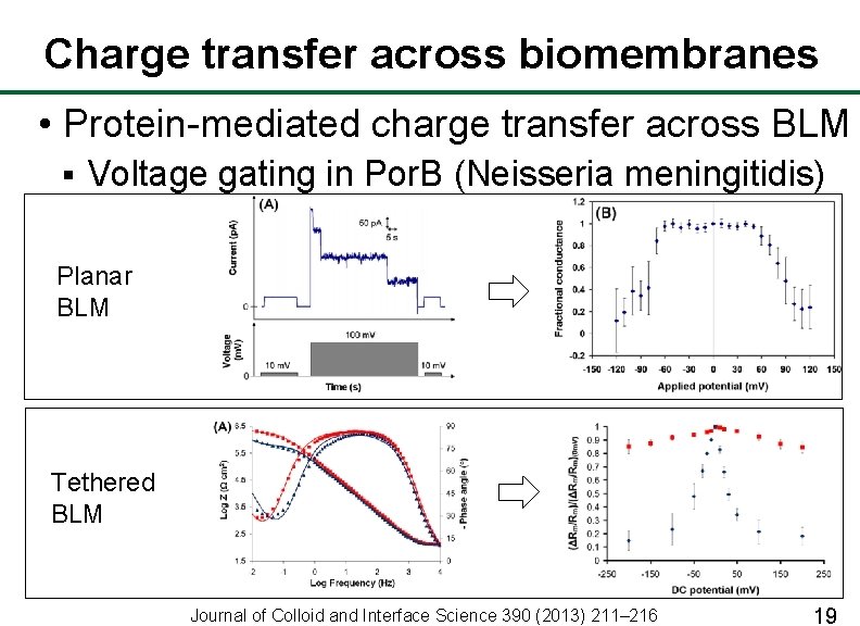 Charge transfer across biomembranes • Protein-mediated charge transfer across BLM § Voltage gating in