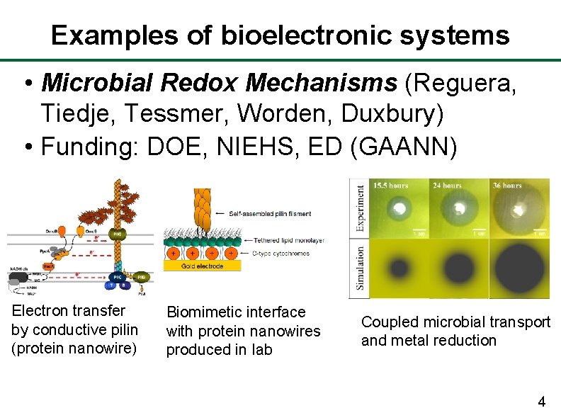 Examples of bioelectronic systems • Microbial Redox Mechanisms (Reguera, Tiedje, Tessmer, Worden, Duxbury) •