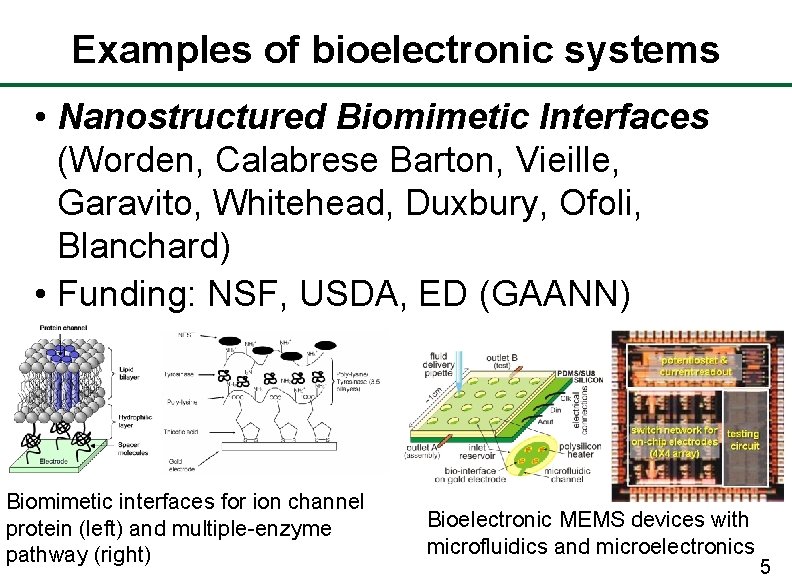 Examples of bioelectronic systems • Nanostructured Biomimetic Interfaces (Worden, Calabrese Barton, Vieille, Garavito, Whitehead,