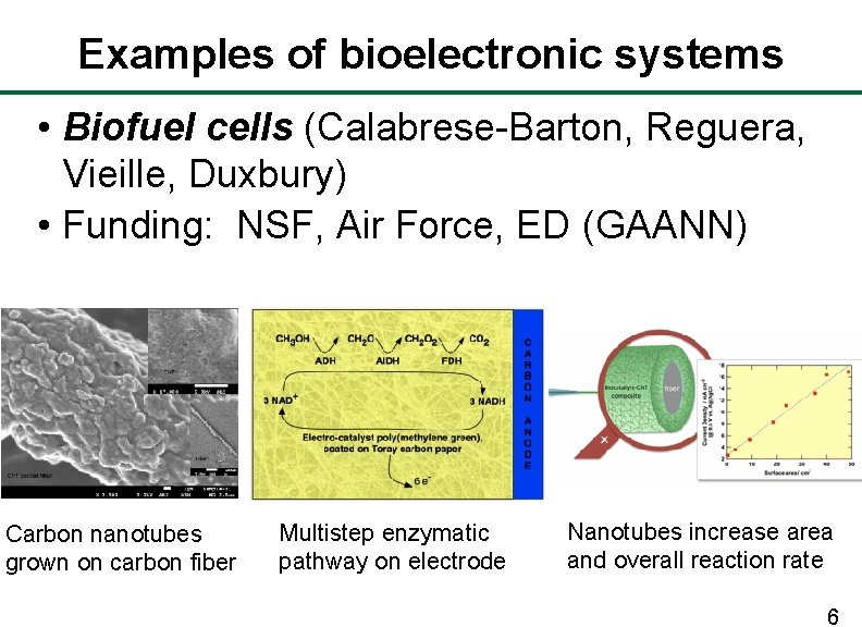 Examples of bioelectronic systems • Biofuel cells (Calabrese-Barton, Reguera, Vieille, Duxbury) • Funding: NSF,