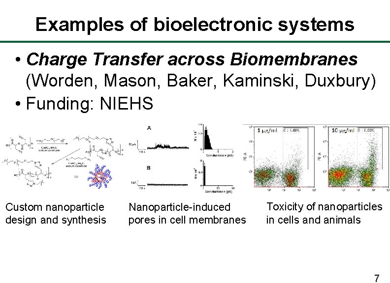 Examples of bioelectronic systems • Charge Transfer across Biomembranes (Worden, Mason, Baker, Kaminski, Duxbury)