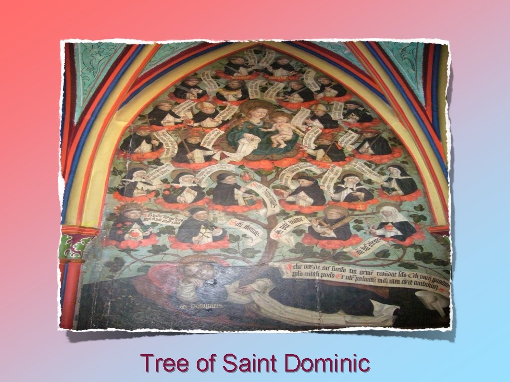 Tree of Saint Dominic 