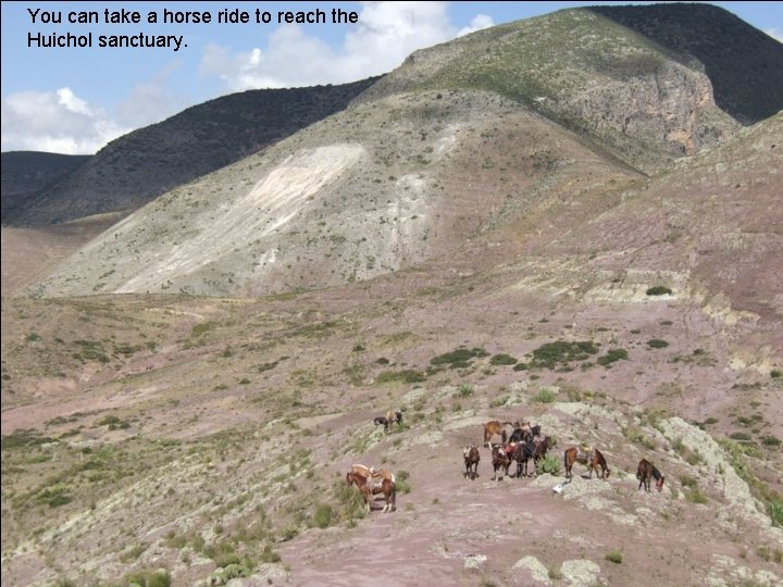 You can take a horse ride to reach the Huichol sanctuary. 