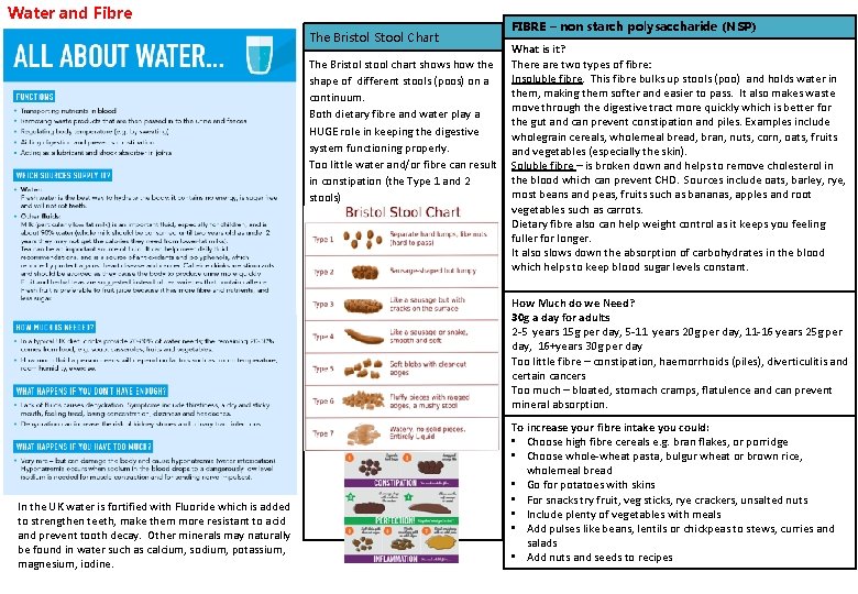 Water and Fibre The Bristol Stool Chart The Bristol stool chart shows how the