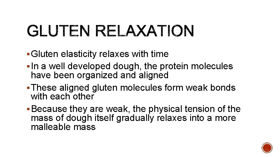 § Gluten elasticity relaxes with time § In a well developed dough, the protein