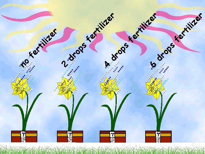 6 4 2 dr op s s rt i fe dr op no ze