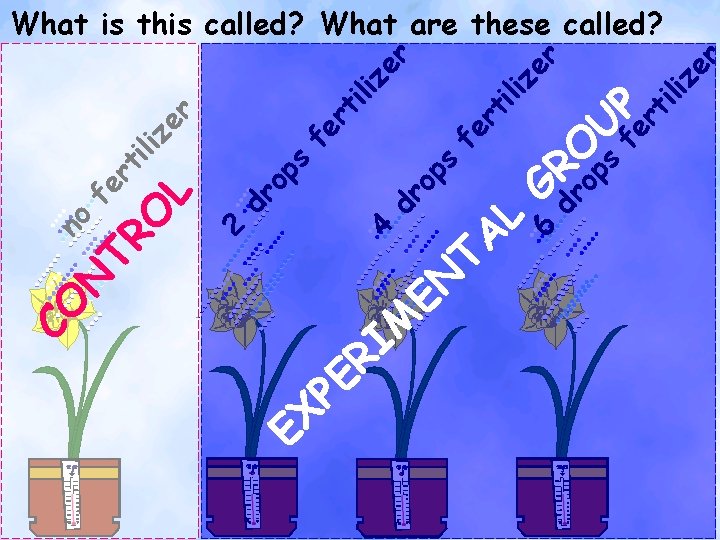 4 2 L X E dr op s N E E P M I