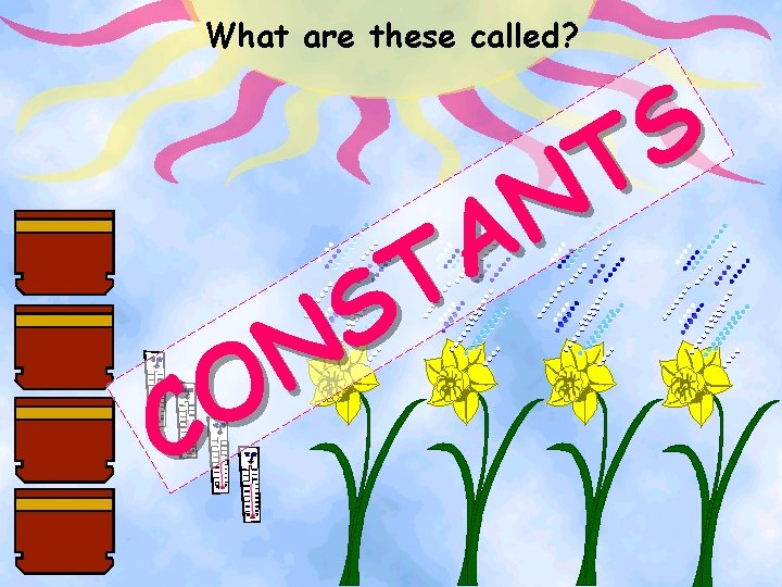 What are these called? S T N A T S N O C 