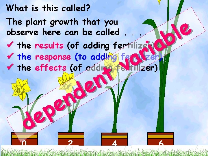 What is this called? e l the results (of adding fertilizer) ab i the