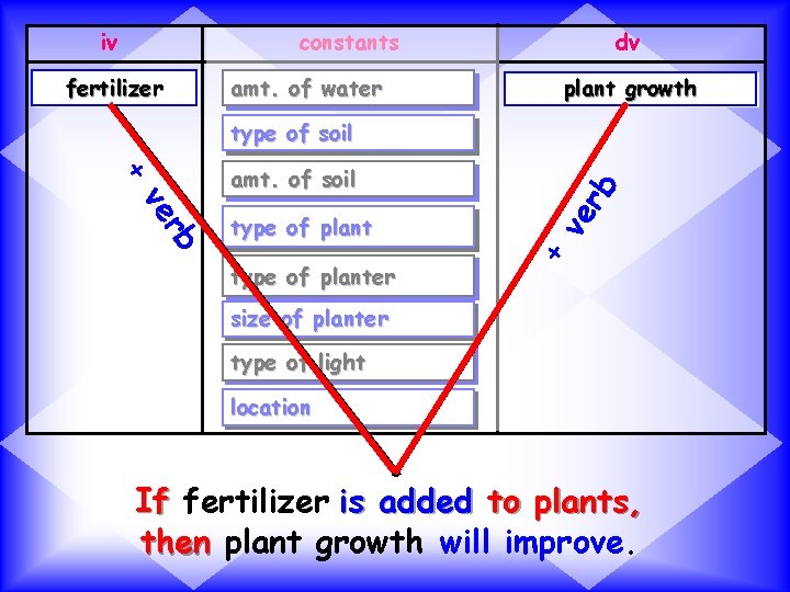 iv dv constants fertilizer amt. of water plant growth type of planter ve rb