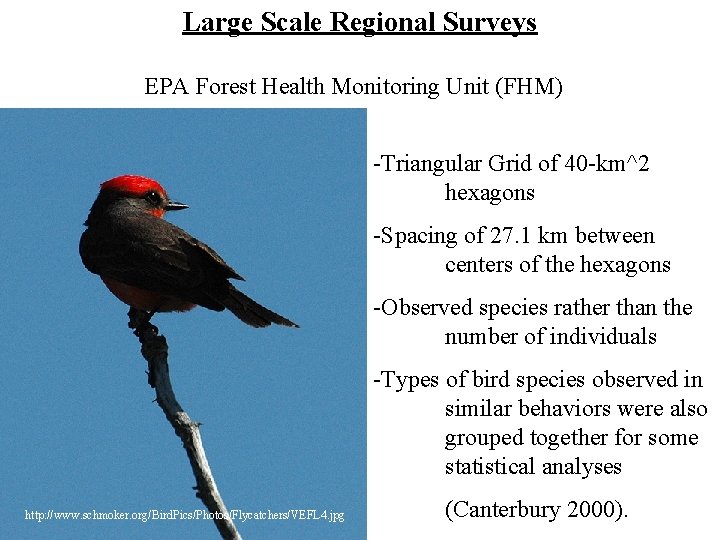 Large Scale Regional Surveys EPA Forest Health Monitoring Unit (FHM) -Triangular Grid of 40