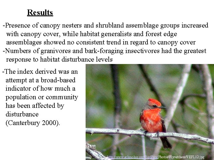 Results -Presence of canopy nesters and shrubland assemblage groups increased with canopy cover, while