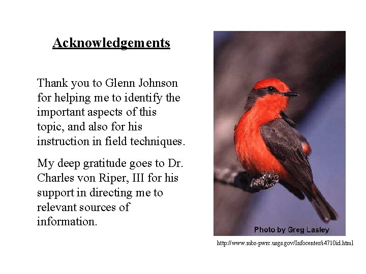 Acknowledgements Thank you to Glenn Johnson for helping me to identify the important aspects