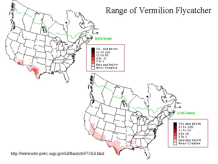 Range of Vermilion Flycatcher http: //www. mbr-pwrc. usgs. gov/id/framlst/i 4710 id. html 