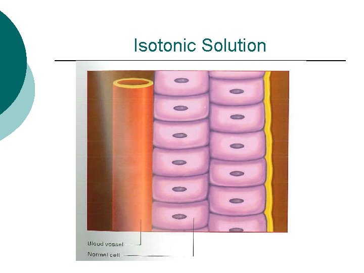 Isotonic Solution 