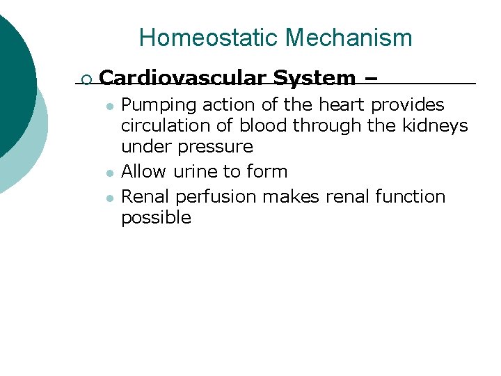Homeostatic Mechanism ¡ Cardiovascular System – l l l Pumping action of the heart