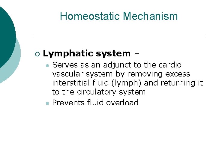 Homeostatic Mechanism ¡ Lymphatic system – l l Serves as an adjunct to the