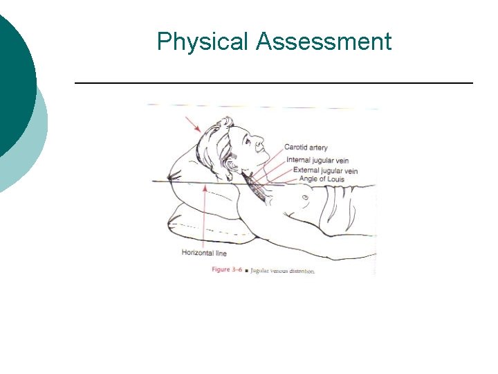 Physical Assessment 