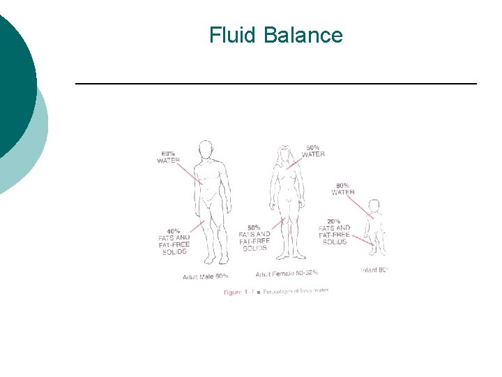 Fluid Balance 