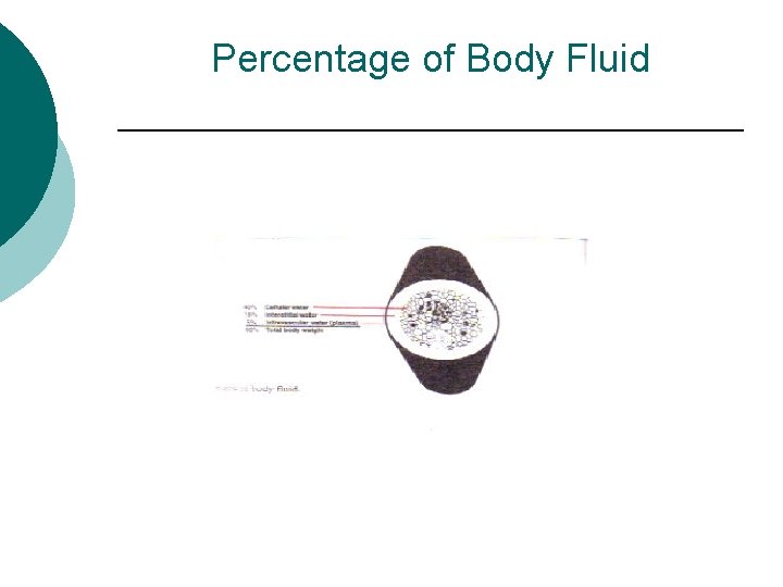 Percentage of Body Fluid 