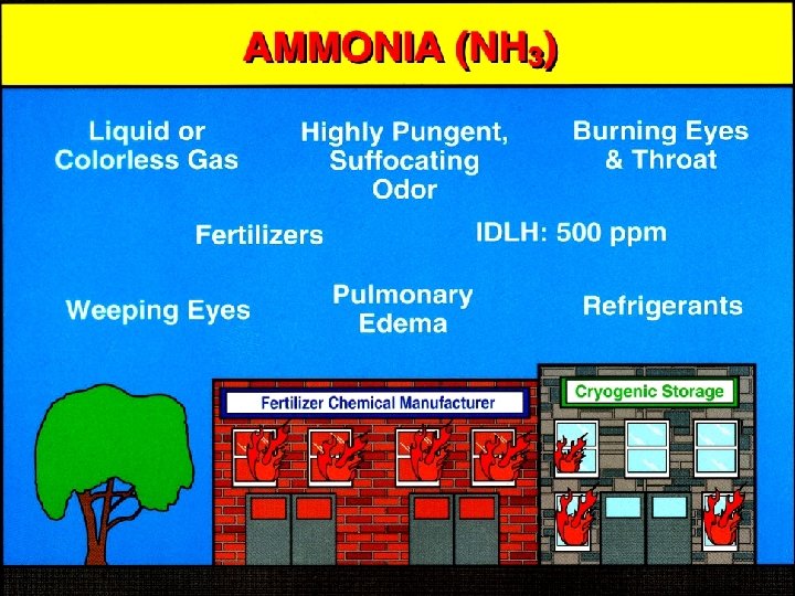 Ammonia 