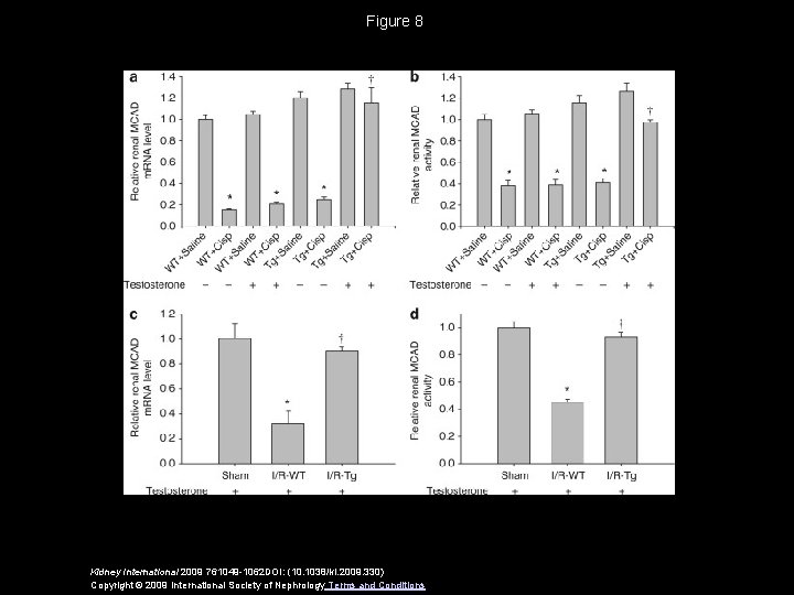 Figure 8 Kidney International 2009 761049 -1062 DOI: (10. 1038/ki. 2009. 330) Copyright ©