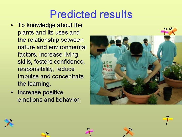 Predicted results • To knowledge about the plants and its uses and the relationship