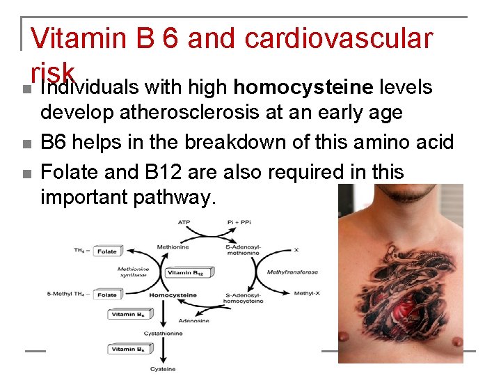 Vitamin B 6 and cardiovascular risk n Individuals with high homocysteine levels n n