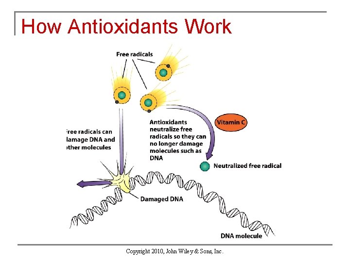 How Antioxidants Work Copyright 2010, John Wiley & Sons, Inc. 