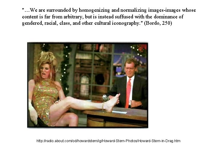 "…We are surrounded by homogenizing and normalizing images-images whose content is far from arbitrary,