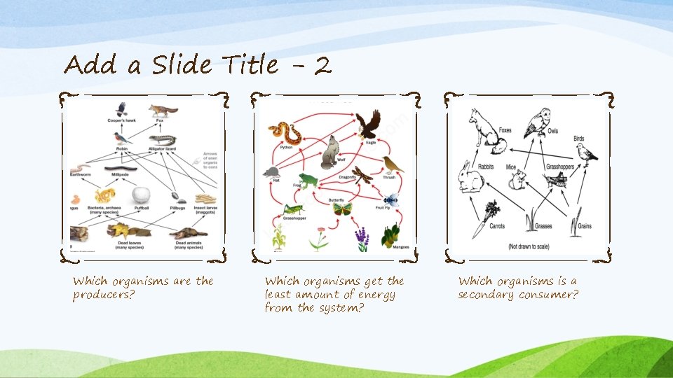 Add a Slide Title - 2 Which organisms are the producers? Which organisms get