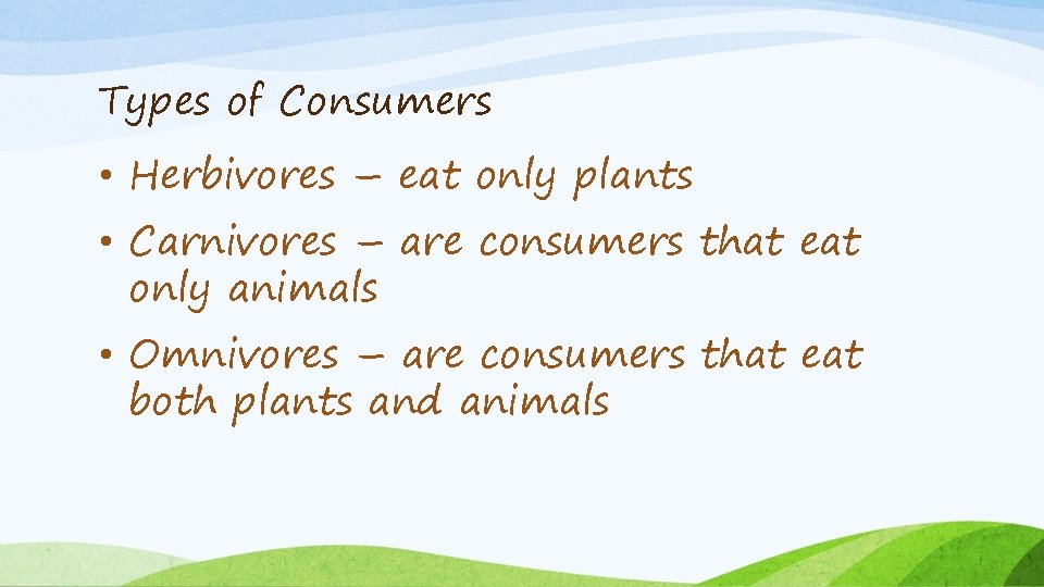 Types of Consumers • Herbivores – eat only plants • Carnivores – are consumers