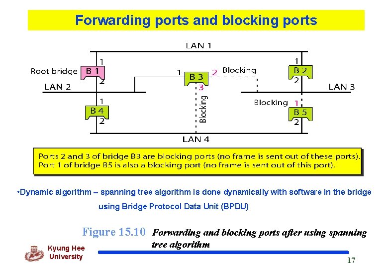Forwarding ports and blocking ports • Dynamic algorithm – spanning tree algorithm is done